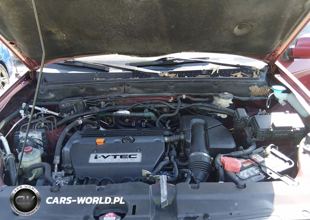 2006 Honda Cr-V Ex VIN:JHLRD788X6C027456 - 10