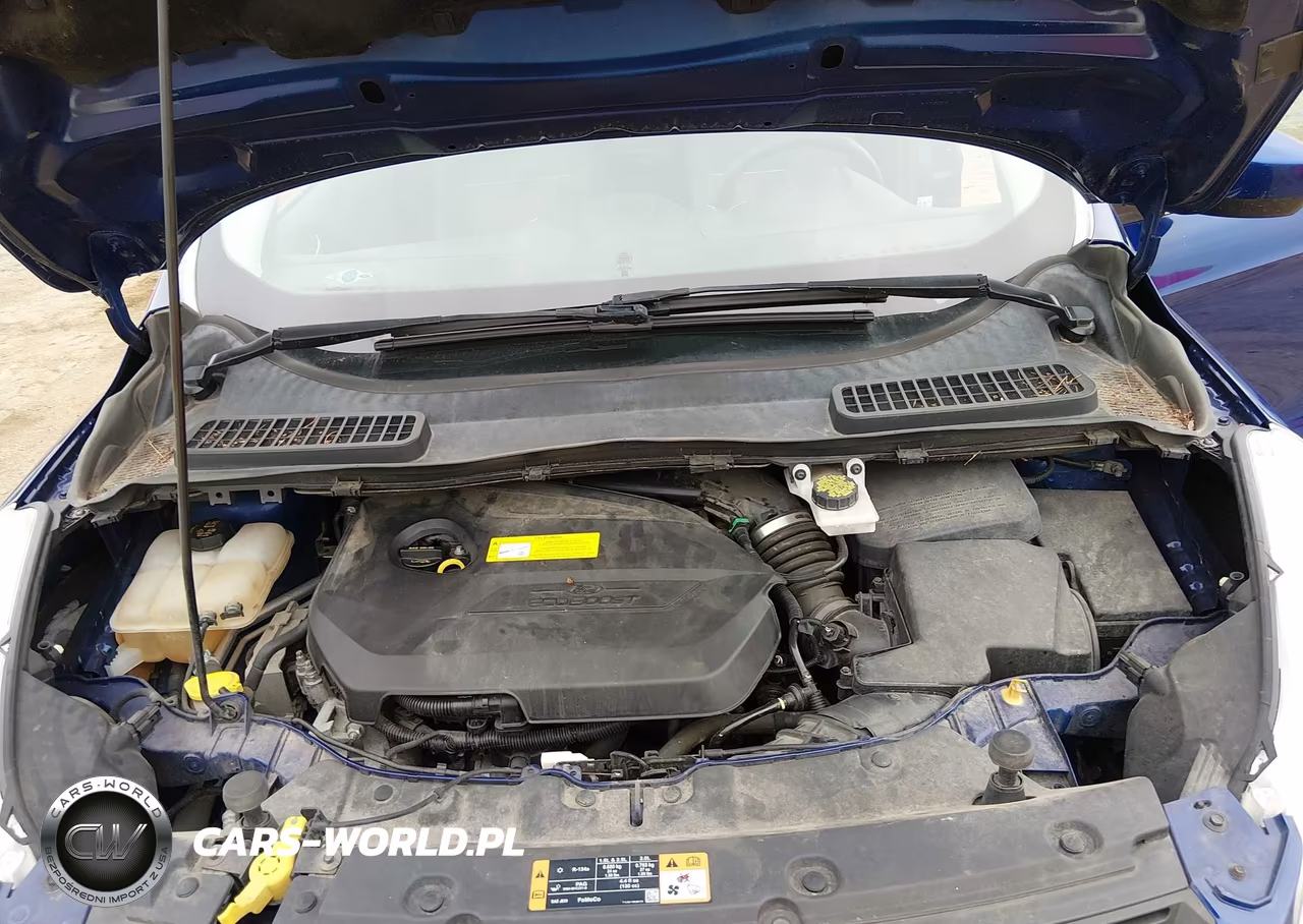2015 Ford Escape Se VIN:1FMCU9GX6FUA75713 - 10