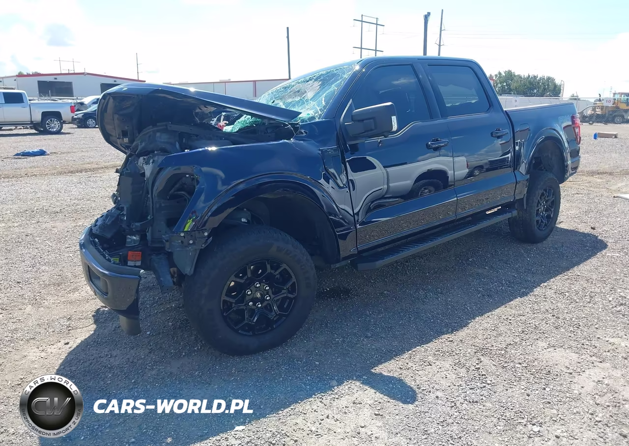 2025 Ford F-150 Xlt VIN:1FTEW3LP1SFC61829 - 2