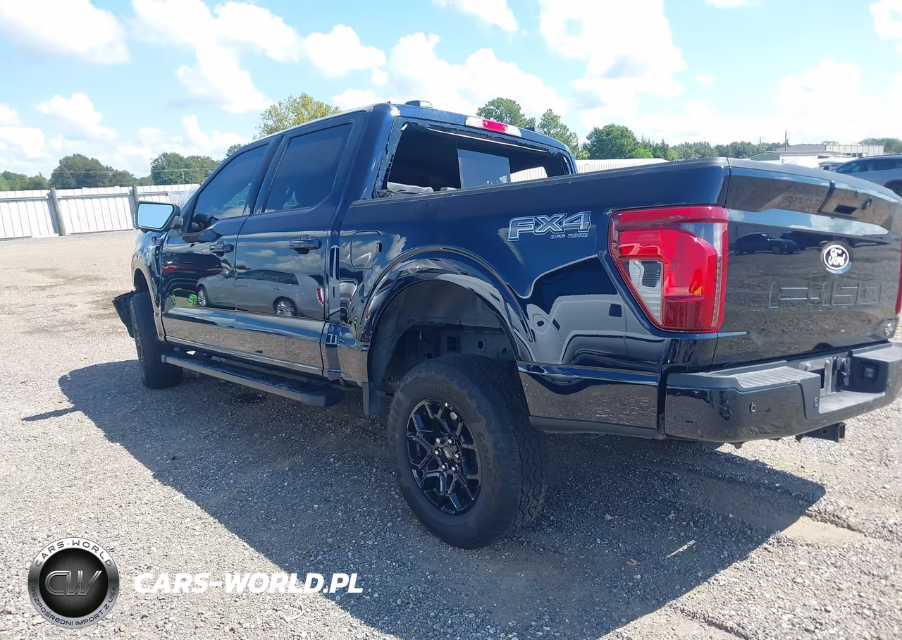 2025 Ford F-150 Xlt VIN:1FTEW3LP1SFC61829 - 3