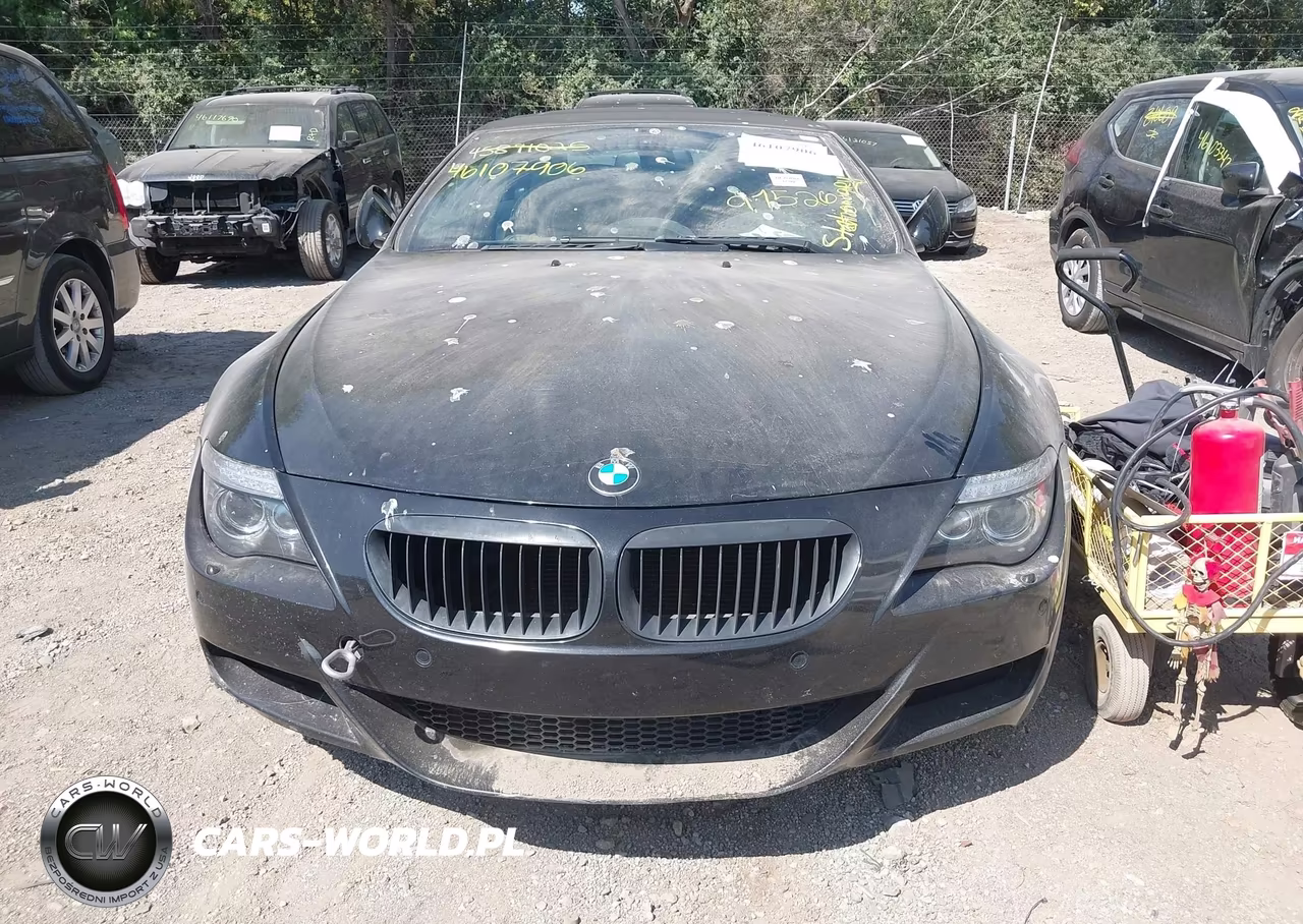 2010 BMW M6 VIN:WBSEK9C53ACY80423 - 6