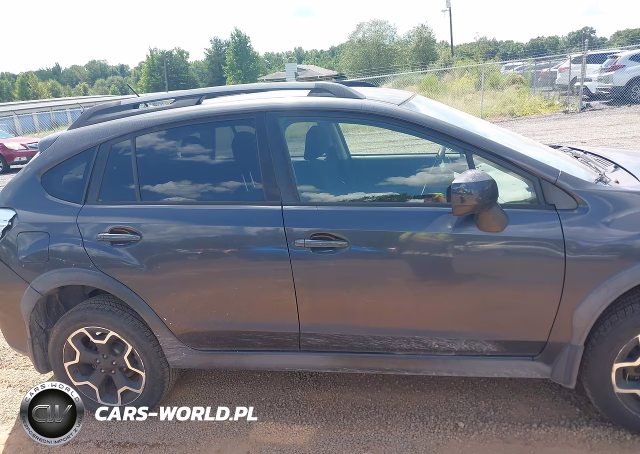 2014 Subaru Xv Crosstrek 2.0I Premium VIN:JF2GPACC2E8261999 - 13