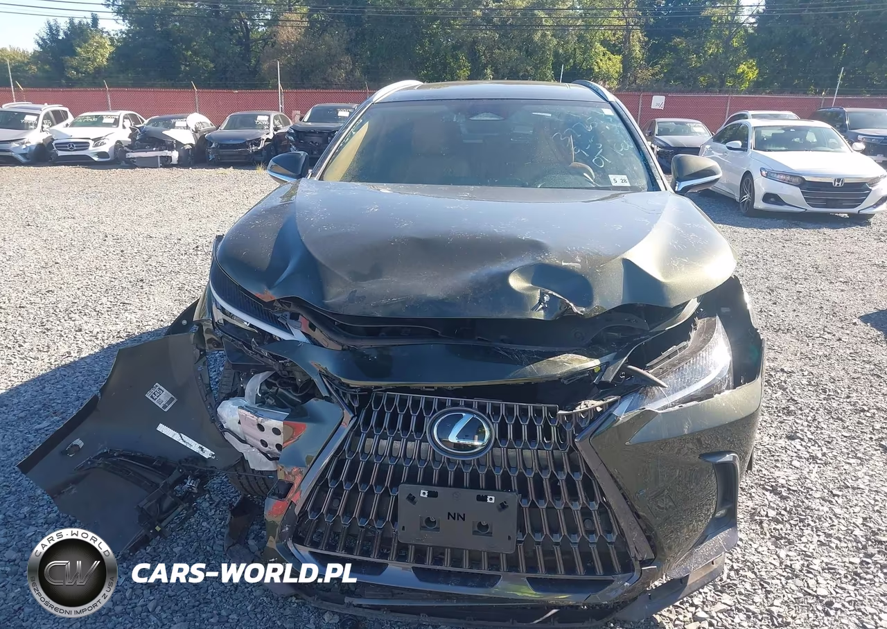 2023 Lexus Nx 350 Premium VIN:2T2GGCEZ4PC028222 - 12