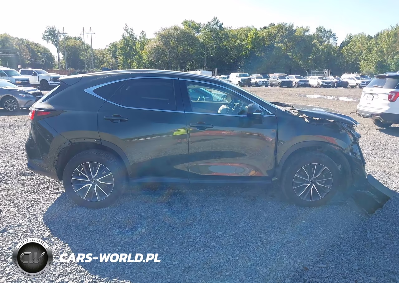 2023 Lexus Nx 350 Premium VIN:2T2GGCEZ4PC028222 - 13