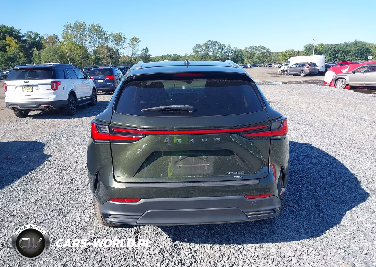 2023 Lexus Nx 350 Premium VIN:2T2GGCEZ4PC028222 - 16