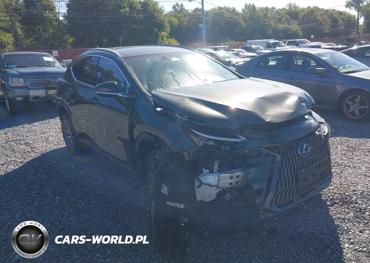 2023 Lexus Nx 350 Premium VIN:2T2GGCEZ4PC028222 - 17