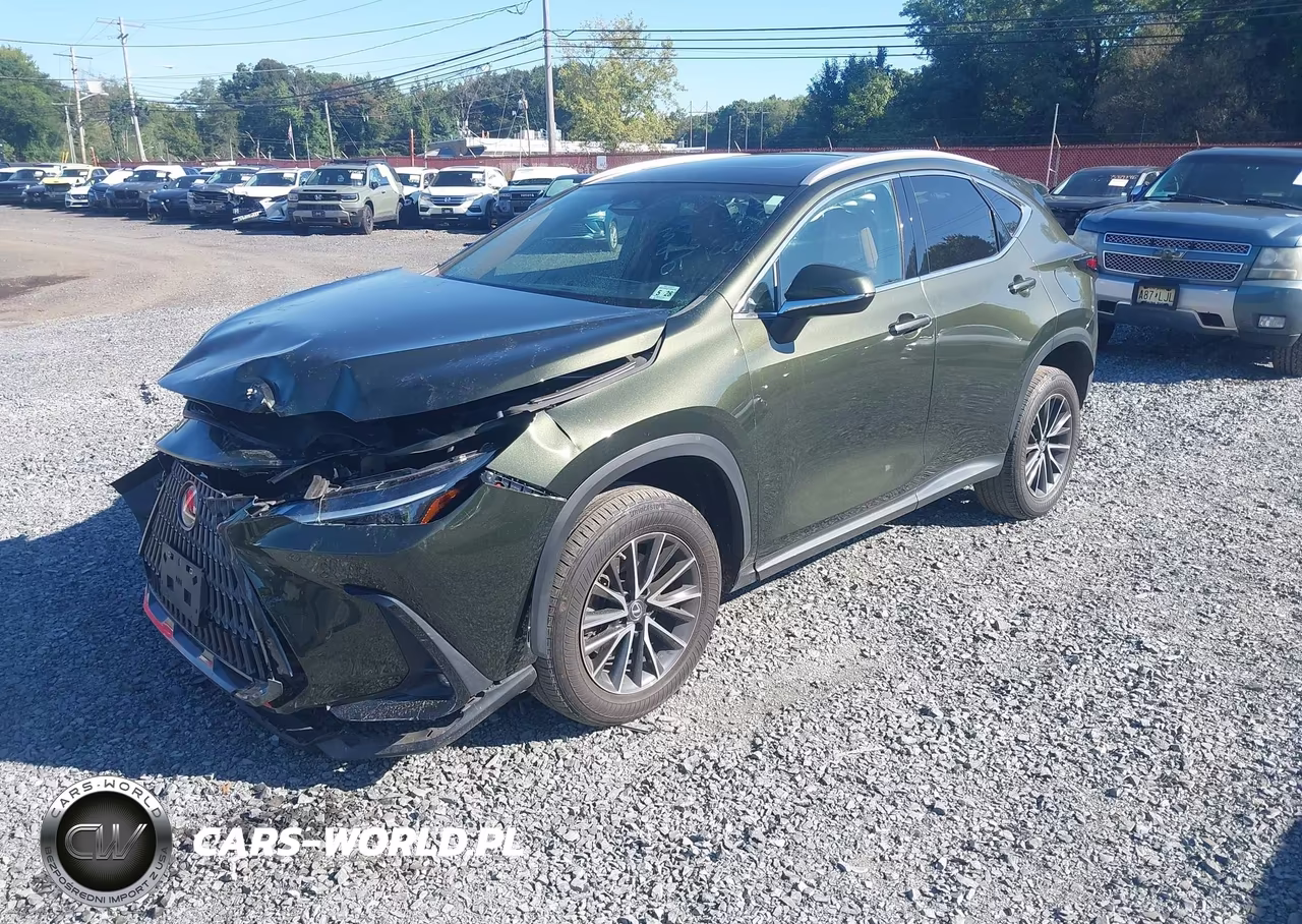 2023 Lexus Nx 350 Premium VIN:2T2GGCEZ4PC028222 - 2