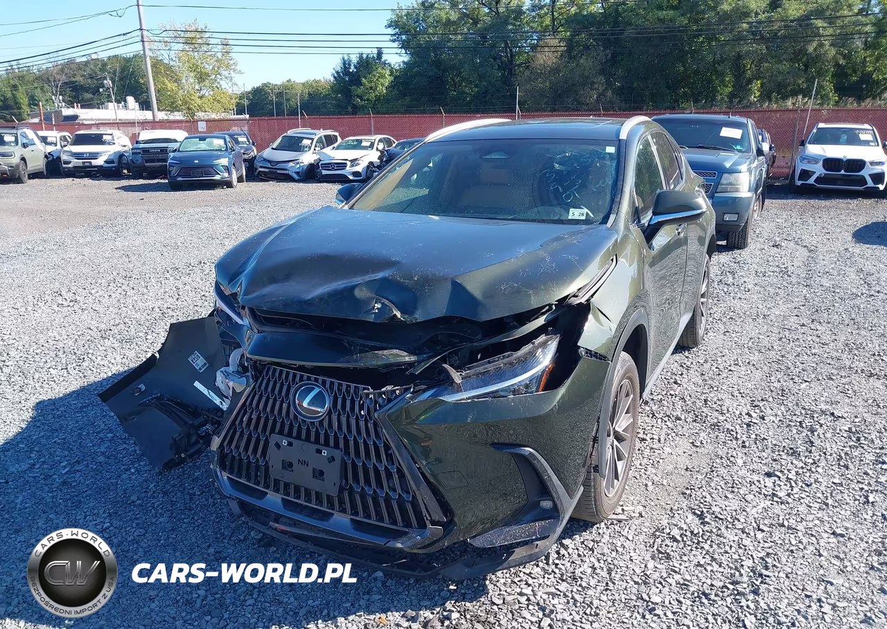 2023 Lexus Nx 350 Premium VIN:2T2GGCEZ4PC028222 - 6
