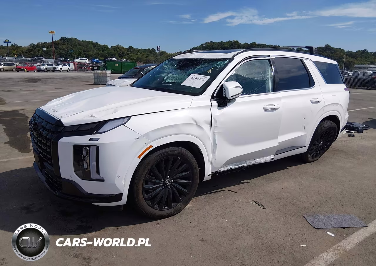 2025 Hyundai Palisade Calligraphy Night Edition VIN:KM8R7DGE8SU906187 - 2