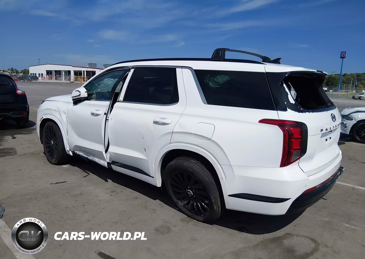 2025 Hyundai Palisade Calligraphy Night Edition VIN:KM8R7DGE8SU906187 - 3