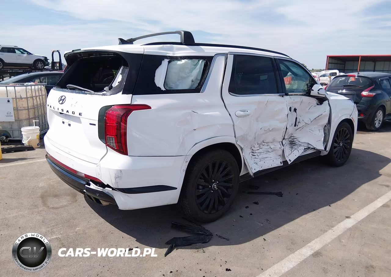 2025 Hyundai Palisade Calligraphy Night Edition VIN:KM8R7DGE8SU906187 - 4