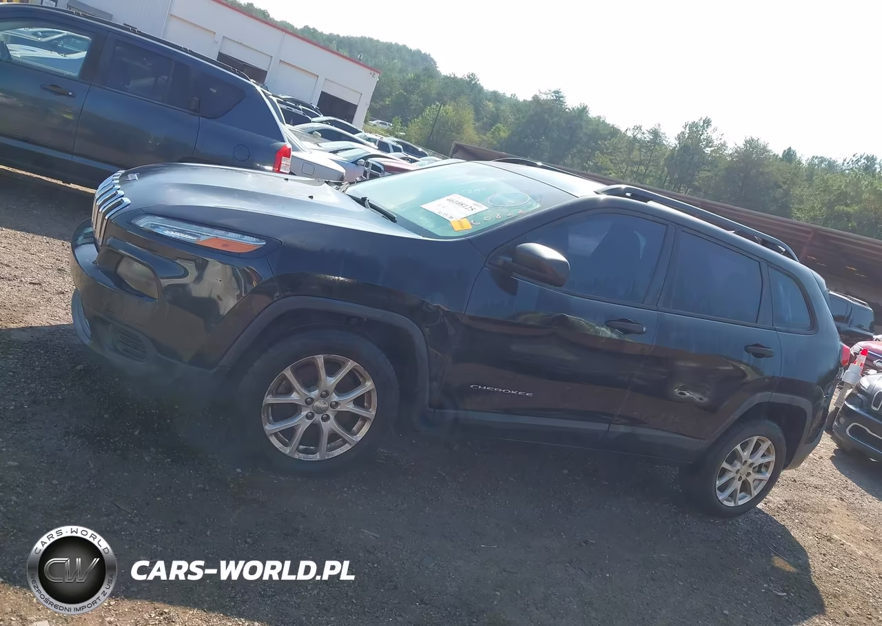 2016 Jeep Cherokee Sport VIN:1C4PJLAB0GW160822 - 15