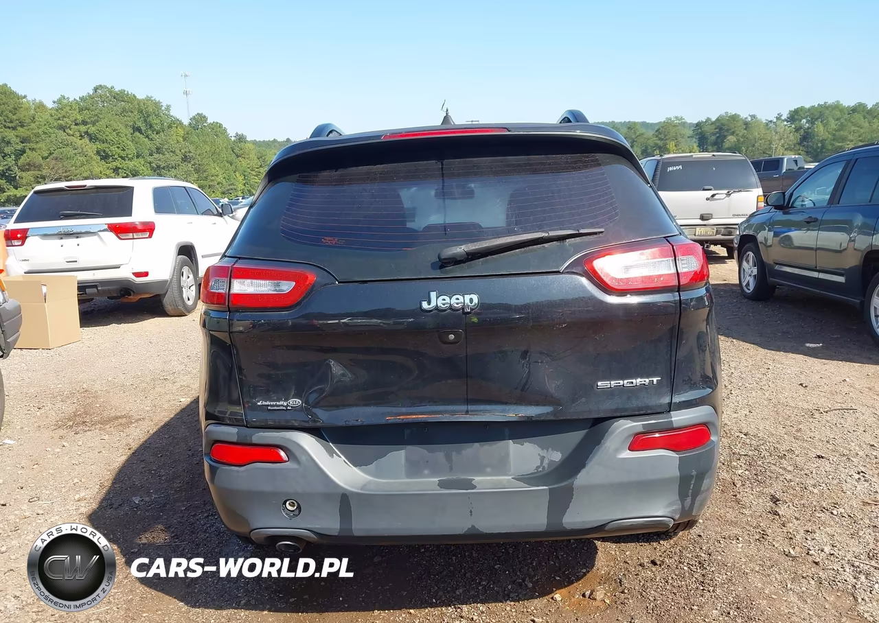 2016 Jeep Cherokee Sport VIN:1C4PJLAB0GW160822 - 17