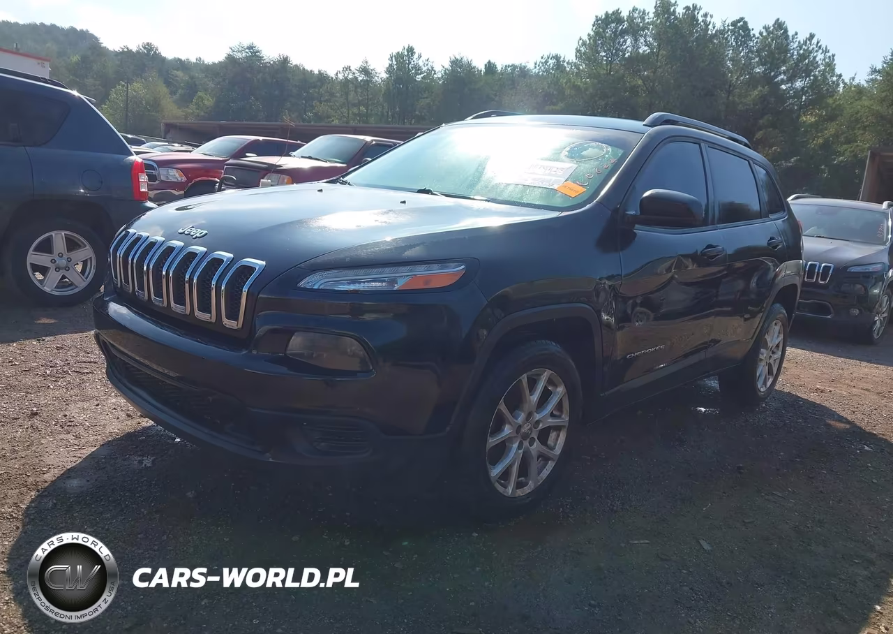 2016 Jeep Cherokee Sport VIN:1C4PJLAB0GW160822 - 2