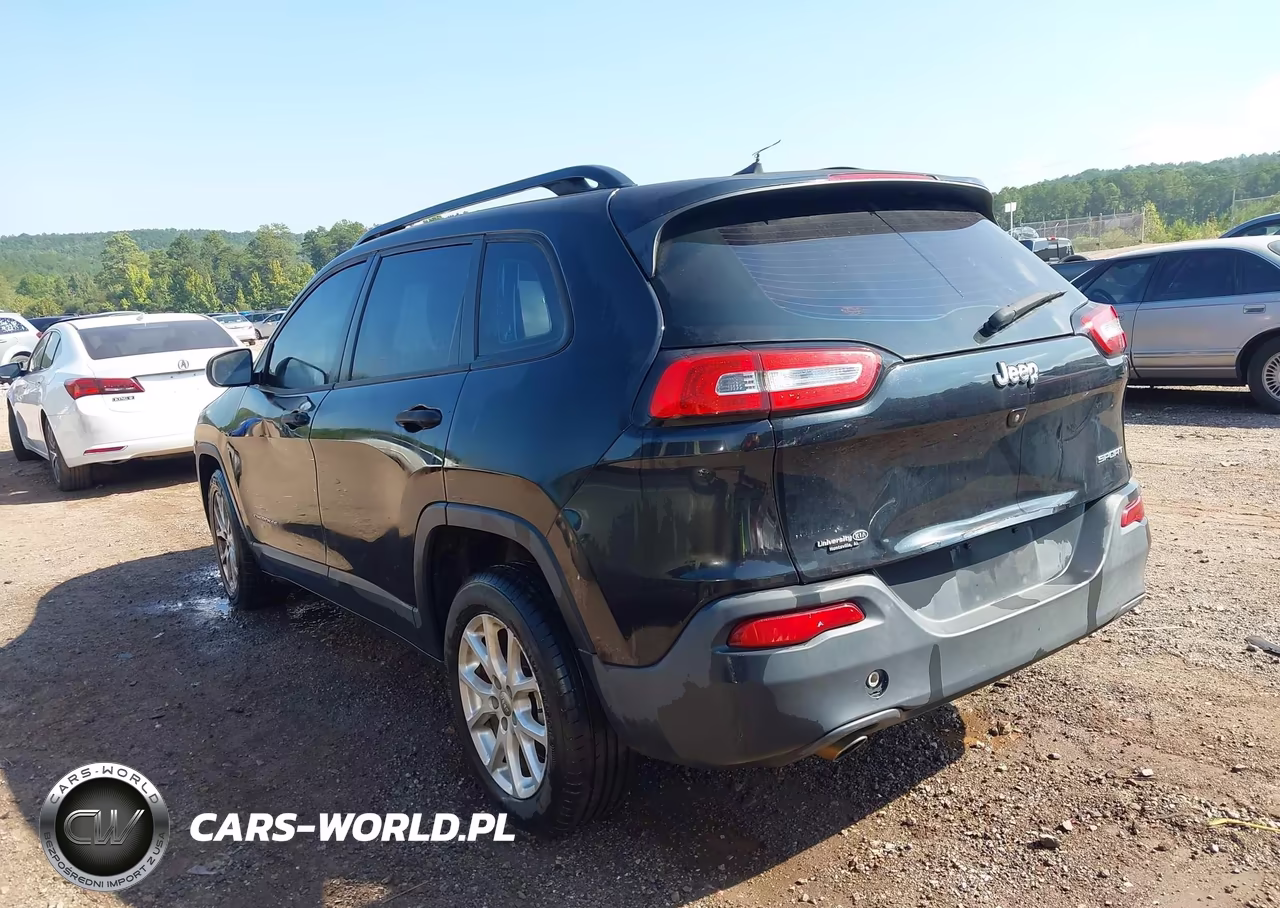 2016 Jeep Cherokee Sport VIN:1C4PJLAB0GW160822 - 3