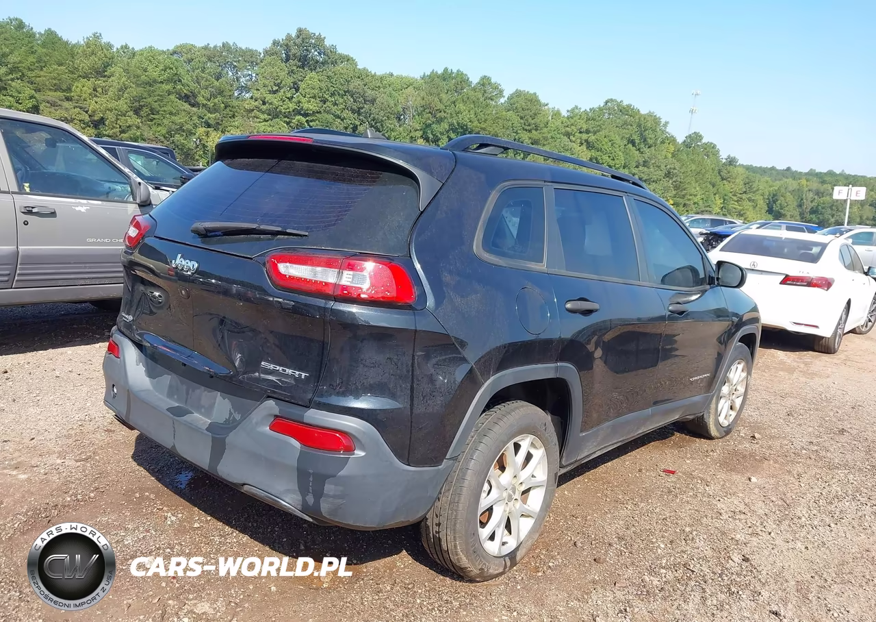2016 Jeep Cherokee Sport VIN:1C4PJLAB0GW160822 - 4