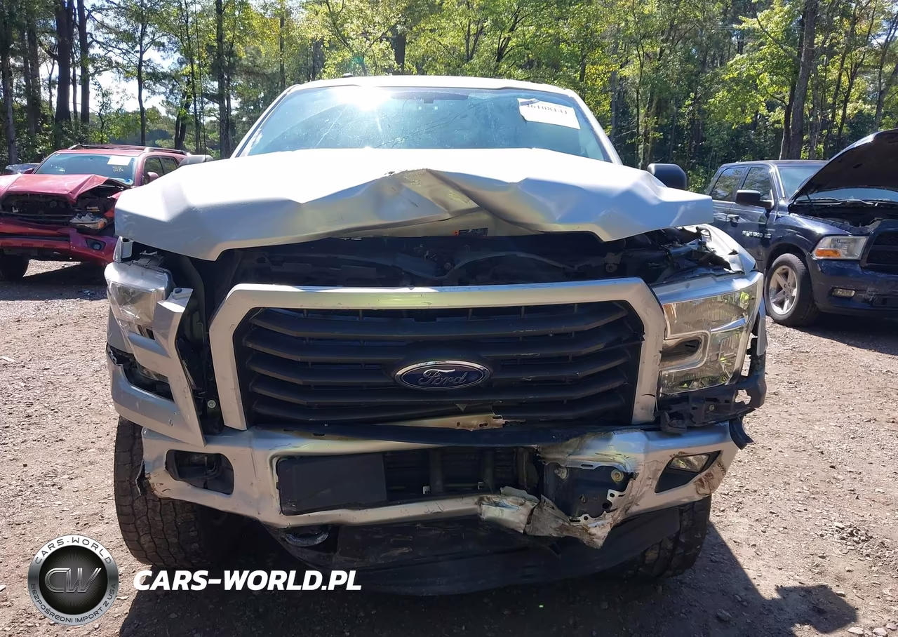 2017 Ford F-150 Xl VIN:1FTEW1EPXHKE46236 - 12