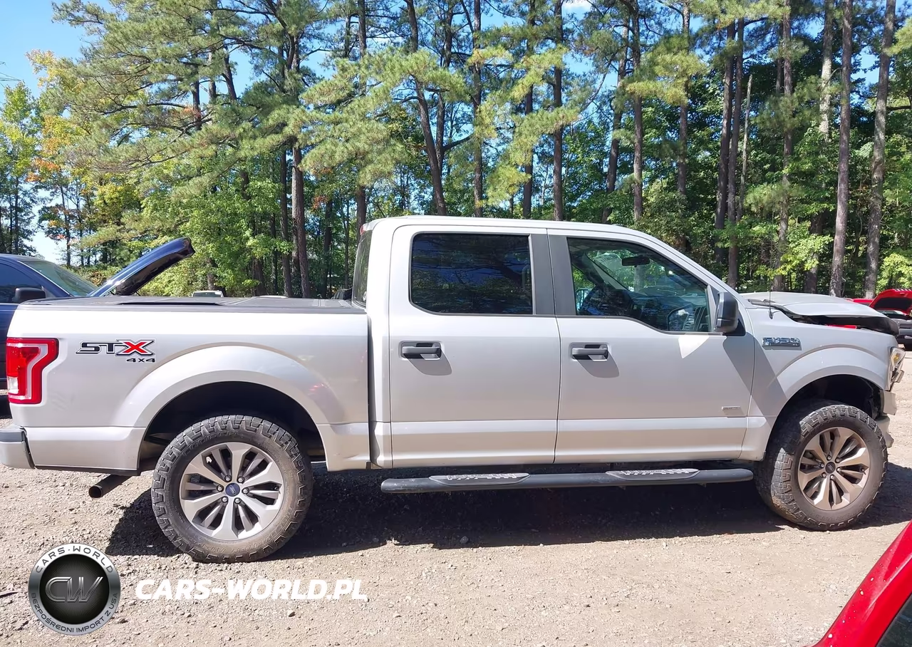 2017 Ford F-150 Xl VIN:1FTEW1EPXHKE46236 - 13