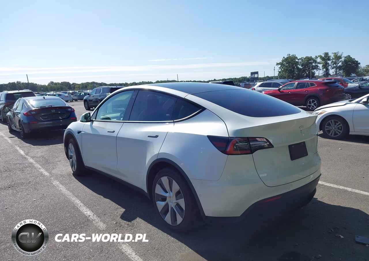 2020 Tesla Model Y Long Range Dual Motor All-Wheel Drive VIN:5YJYGDEE3LF036345 - 3