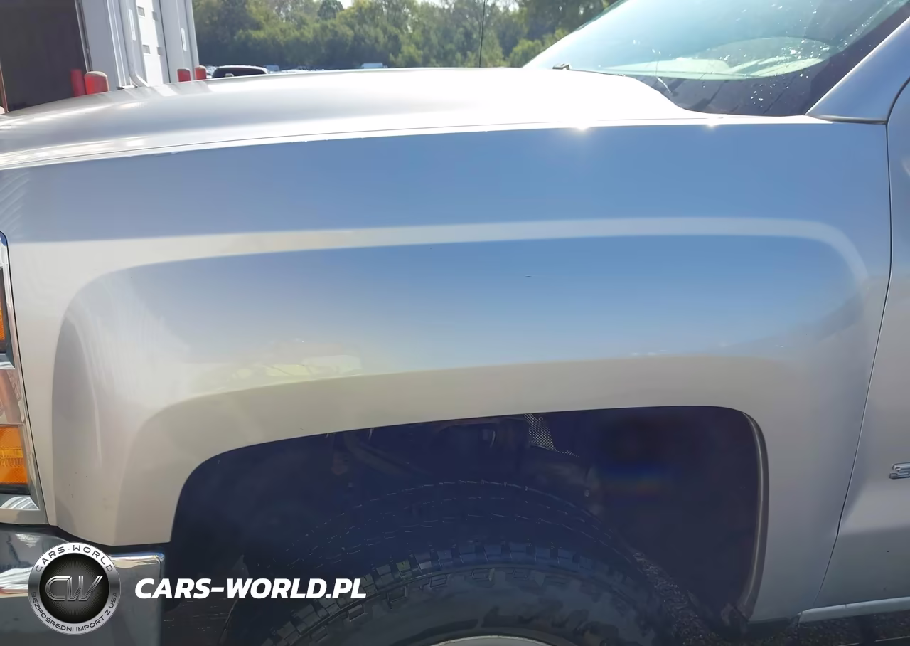 2017 Chevrolet Silverado 3500Hd Wt VIN:1GC4KYCG1HF203684 - 14