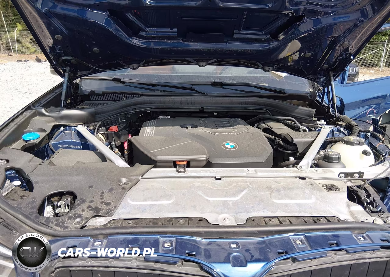 2024 BMW X4 xDrive30I VIN:5UX33DT08R9W18164 - 10