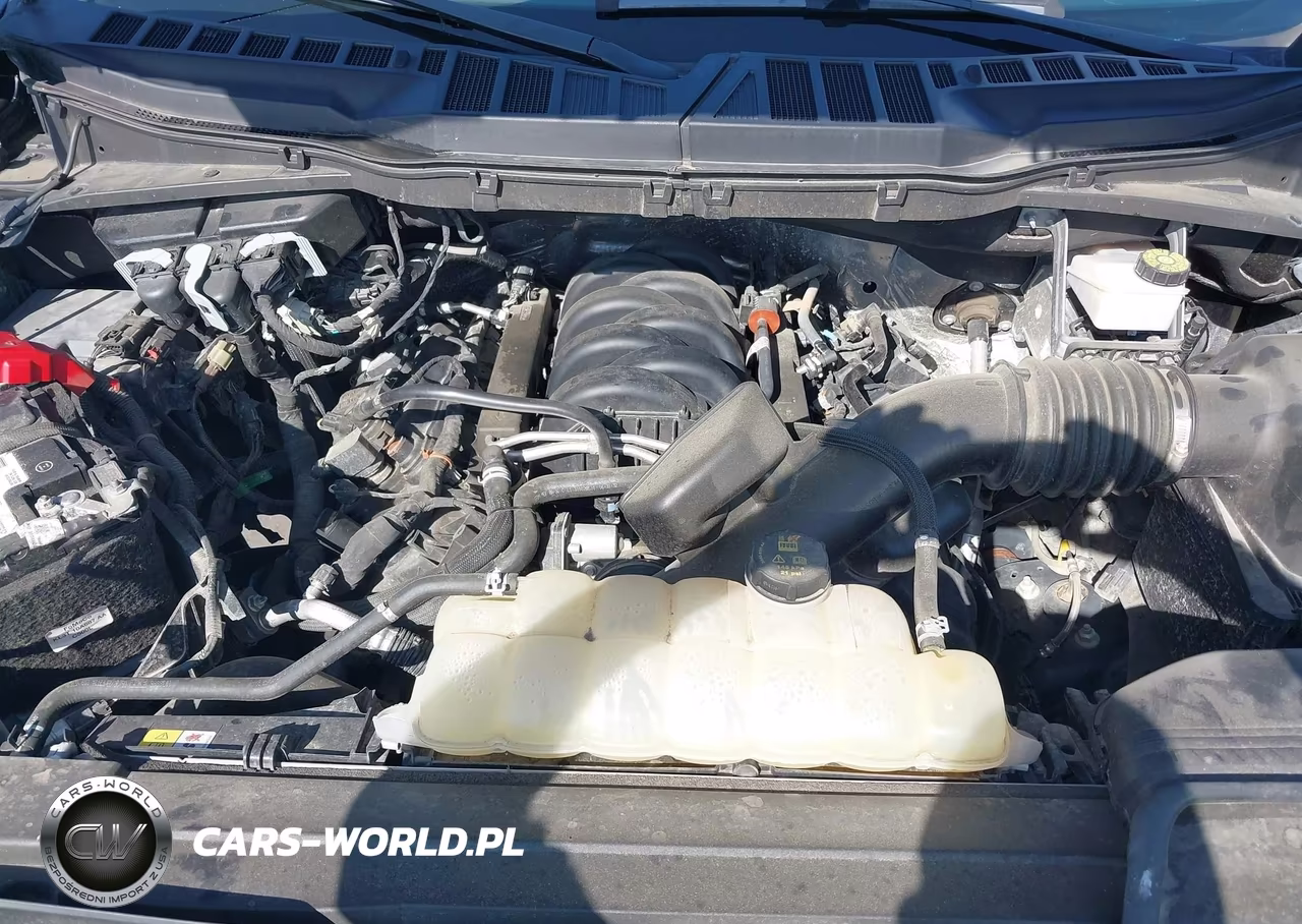2023 Ford F-150 Xlt VIN:1FTFW1E5XPKE51146 - 10