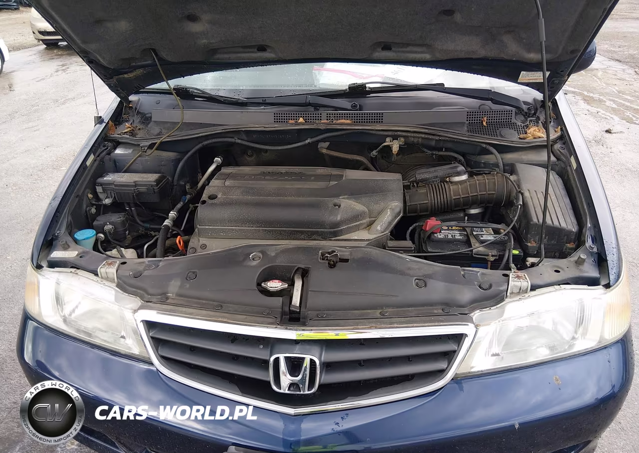 2004 Honda Odyssey Ex-L VIN:5FNRL18944B089134 - 10