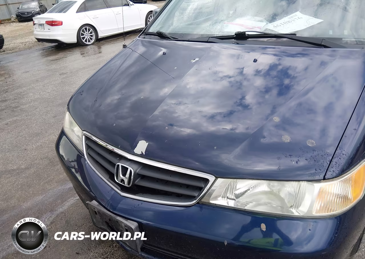 2004 Honda Odyssey Ex-L VIN:5FNRL18944B089134 - 6