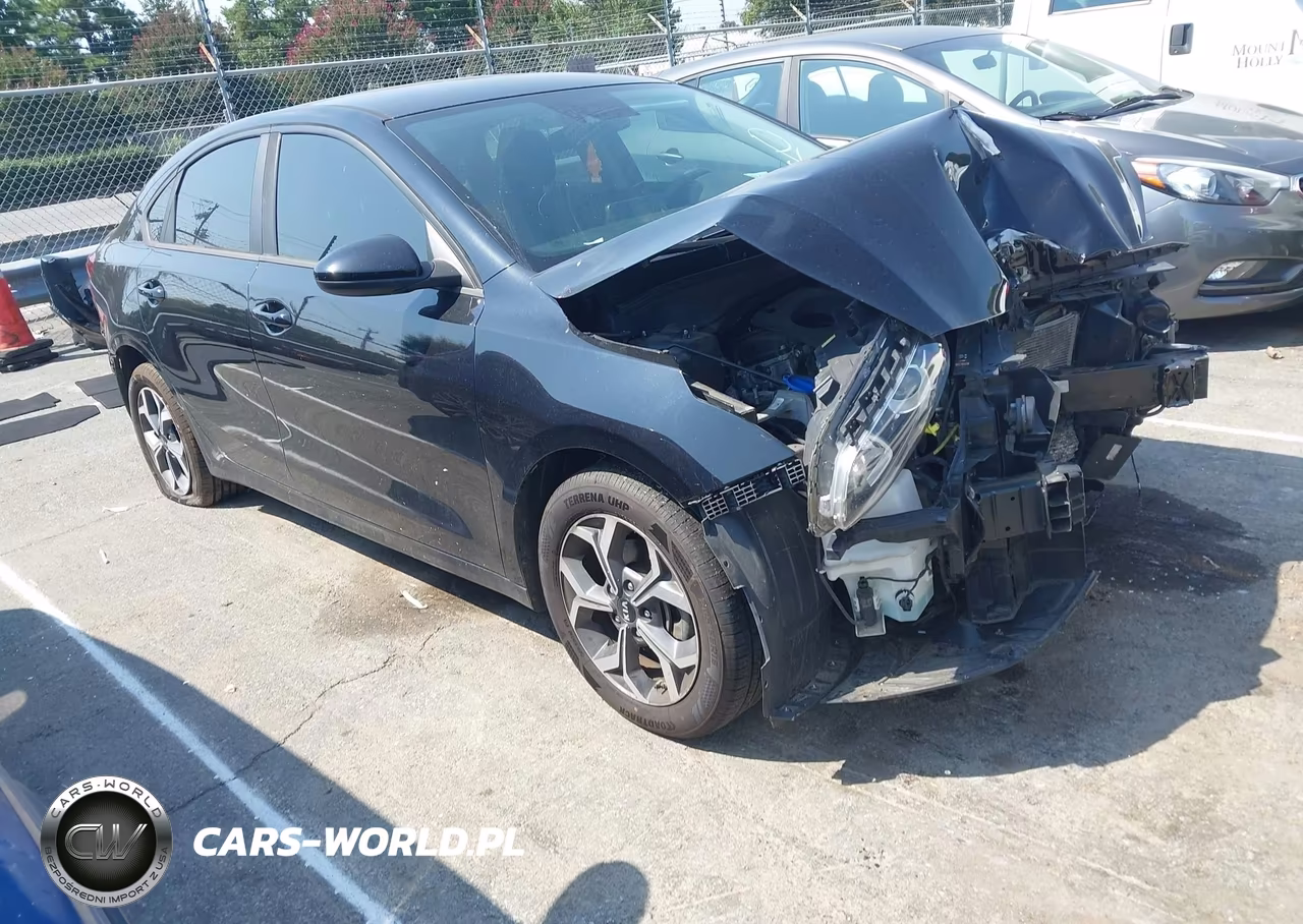 2019 Kia Forte Lxs