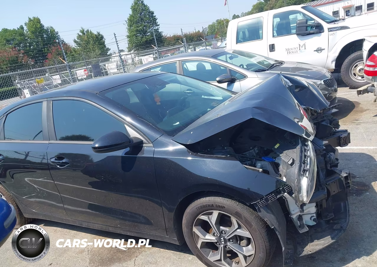 2019 Kia Forte Lxs VIN:3KPF24AD2KE133494 - 14