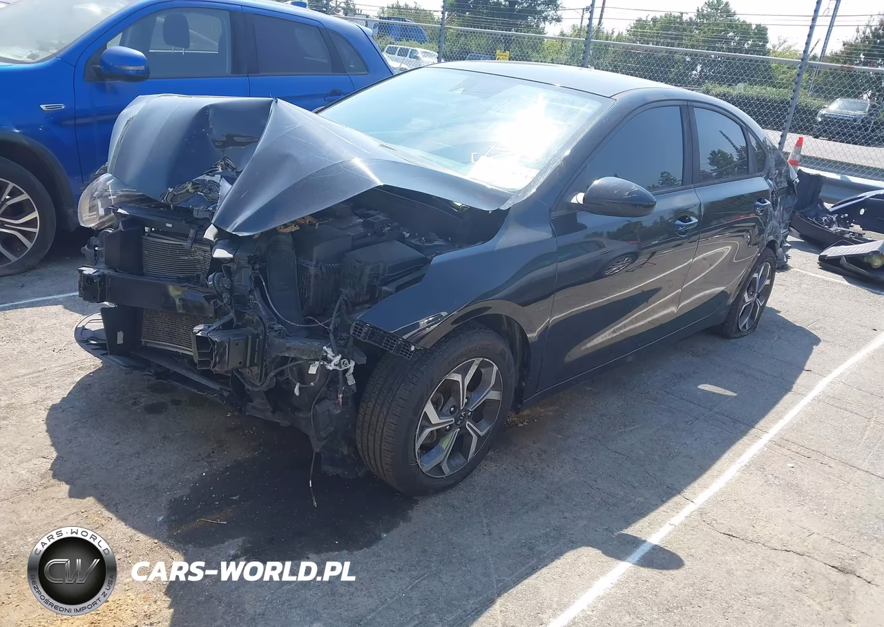 2019 Kia Forte Lxs VIN:3KPF24AD2KE133494 - 2