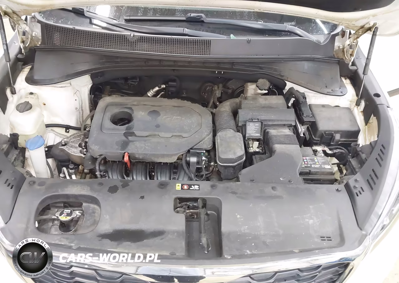 2019 Kia Sorento 2.4L Lx VIN:5XYPGDA35KG595631 - 10