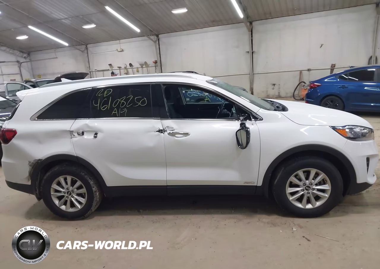 2019 Kia Sorento 2.4L Lx VIN:5XYPGDA35KG595631 - 13