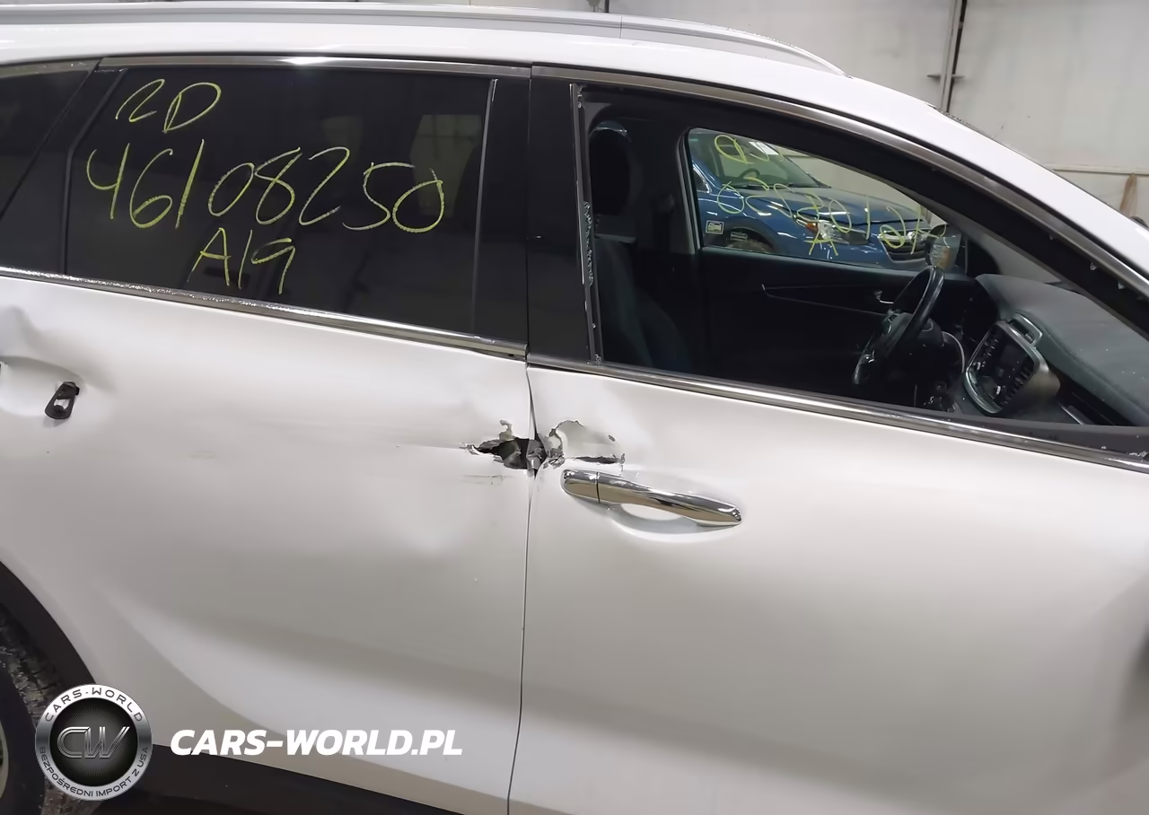 2019 Kia Sorento 2.4L Lx VIN:5XYPGDA35KG595631 - 17