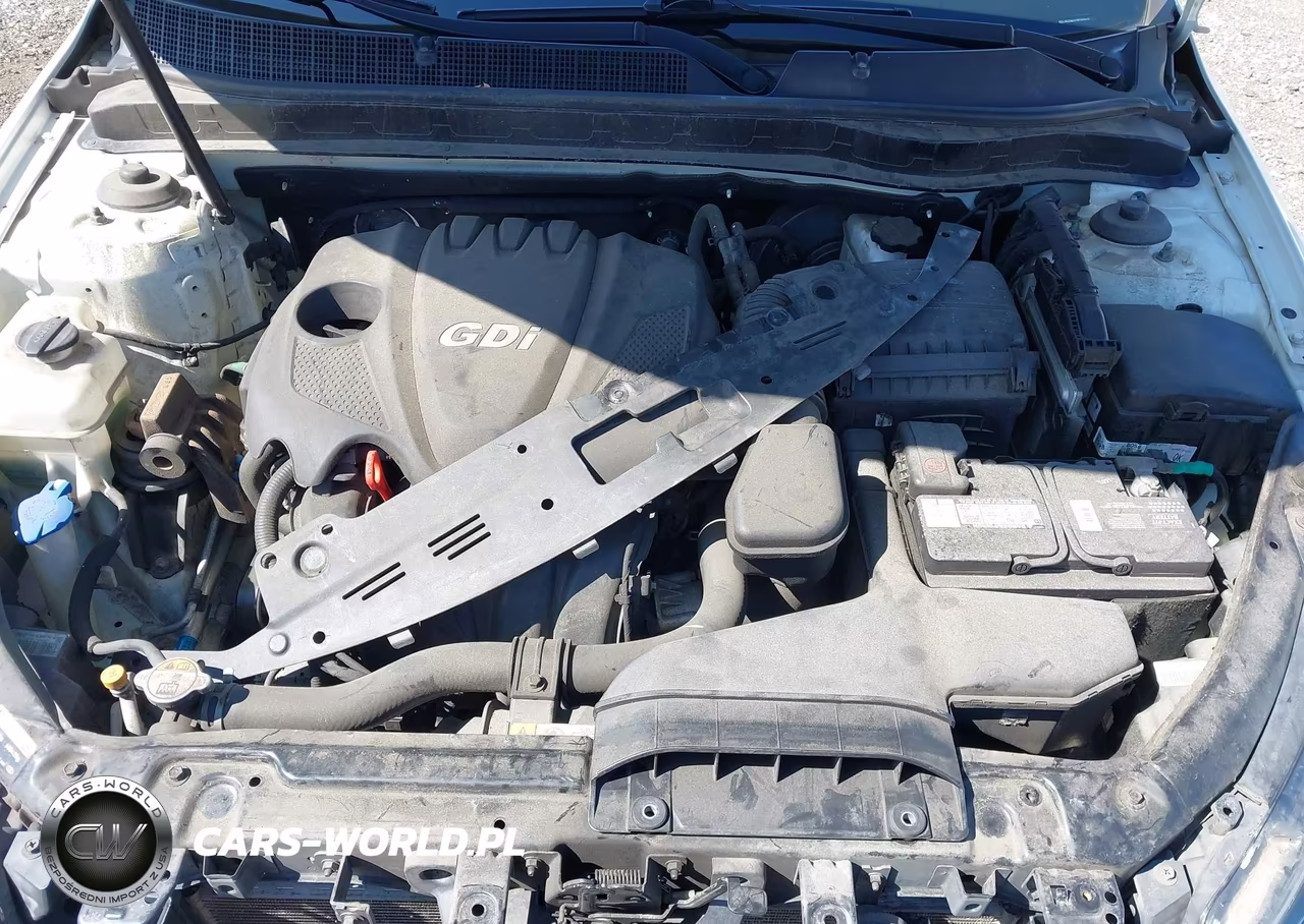 2015 Kia Optima Lx VIN:KNAGM4A70F5568425 - 10