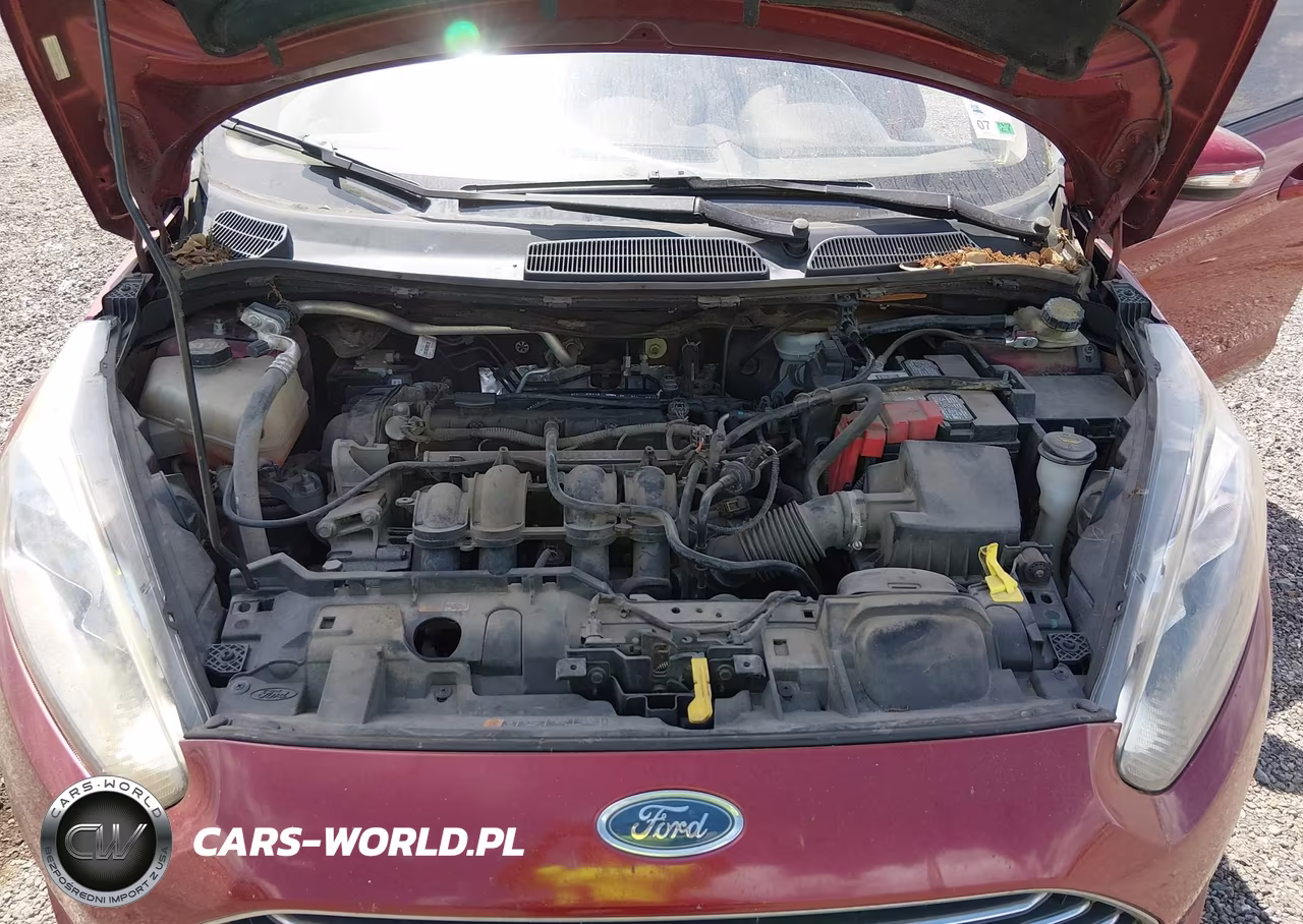 2015 Ford Fiesta Se VIN:3FADP4BJ0FM144671 - 10