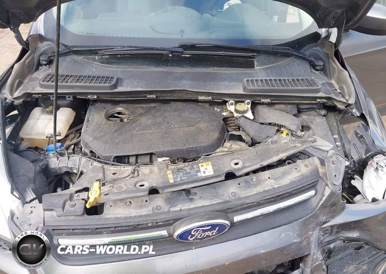 2014 Ford Escape Se VIN:1FMCU0GX4EUE52176 - 10