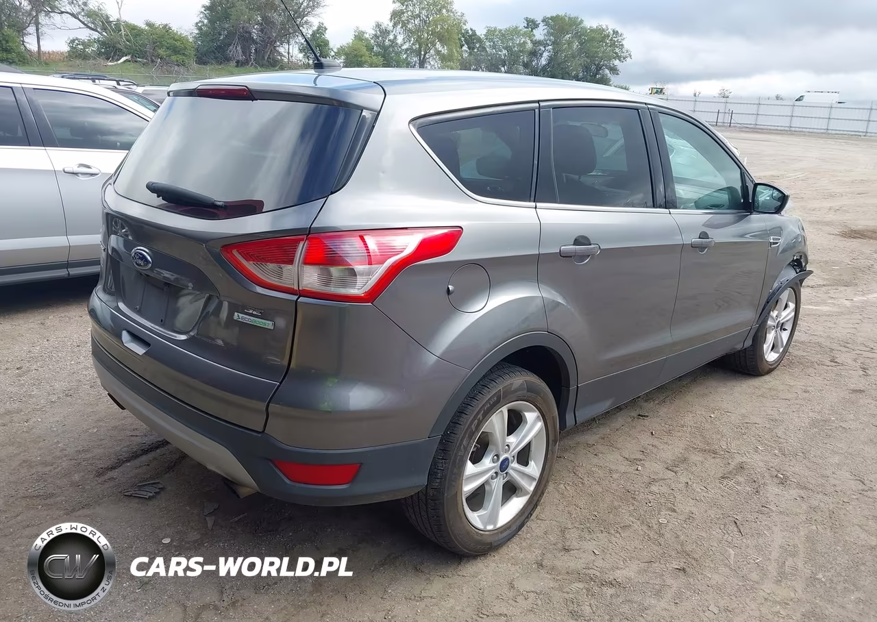 2014 Ford Escape Se VIN:1FMCU0GX4EUE52176 - 4