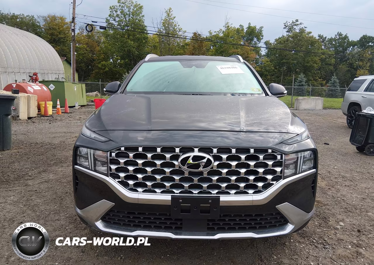 2021 Hyundai Santa Fe Sel VIN:5NMS6DAJ2MH329665 - 12