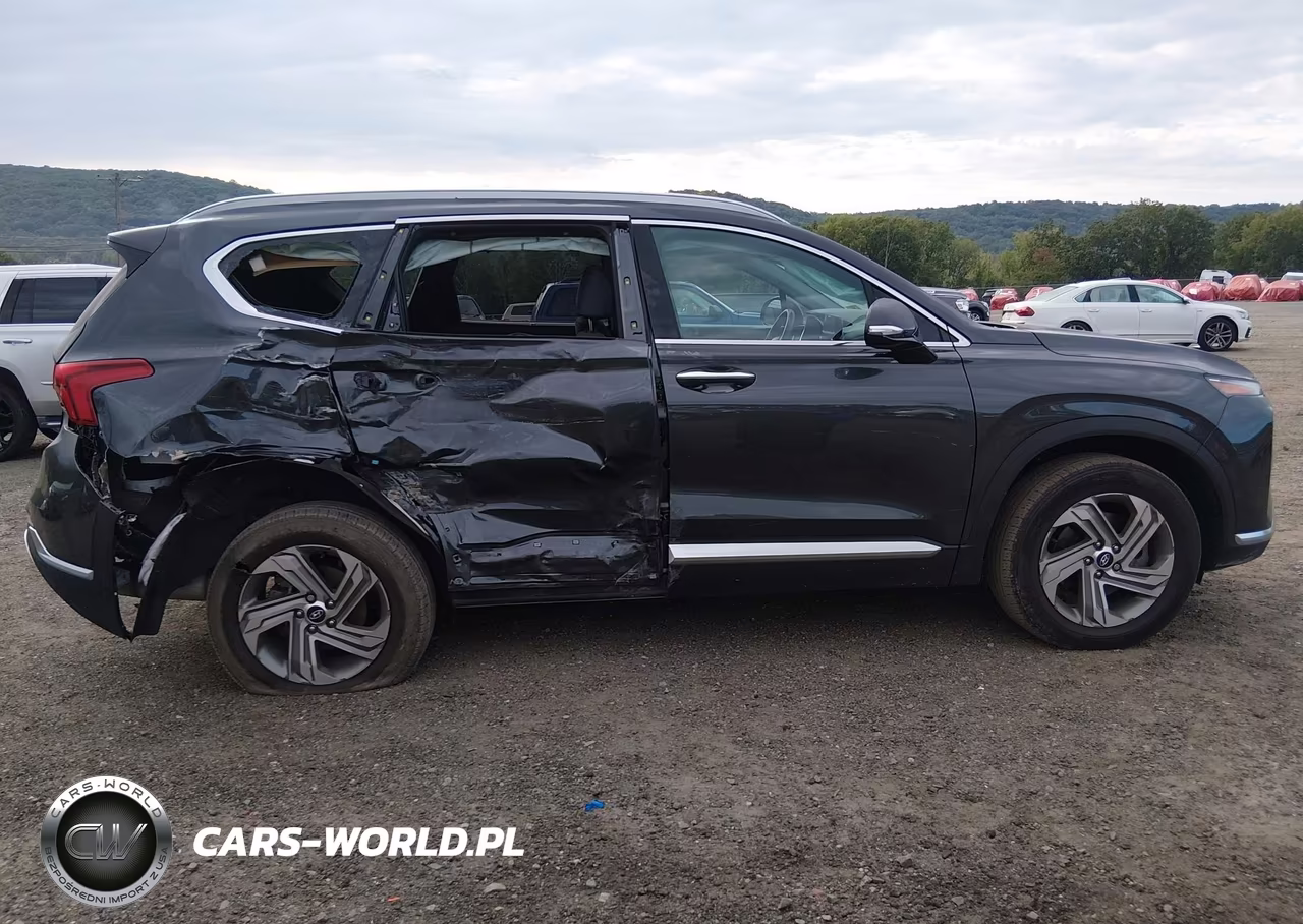 2021 Hyundai Santa Fe Sel VIN:5NMS6DAJ2MH329665 - 13