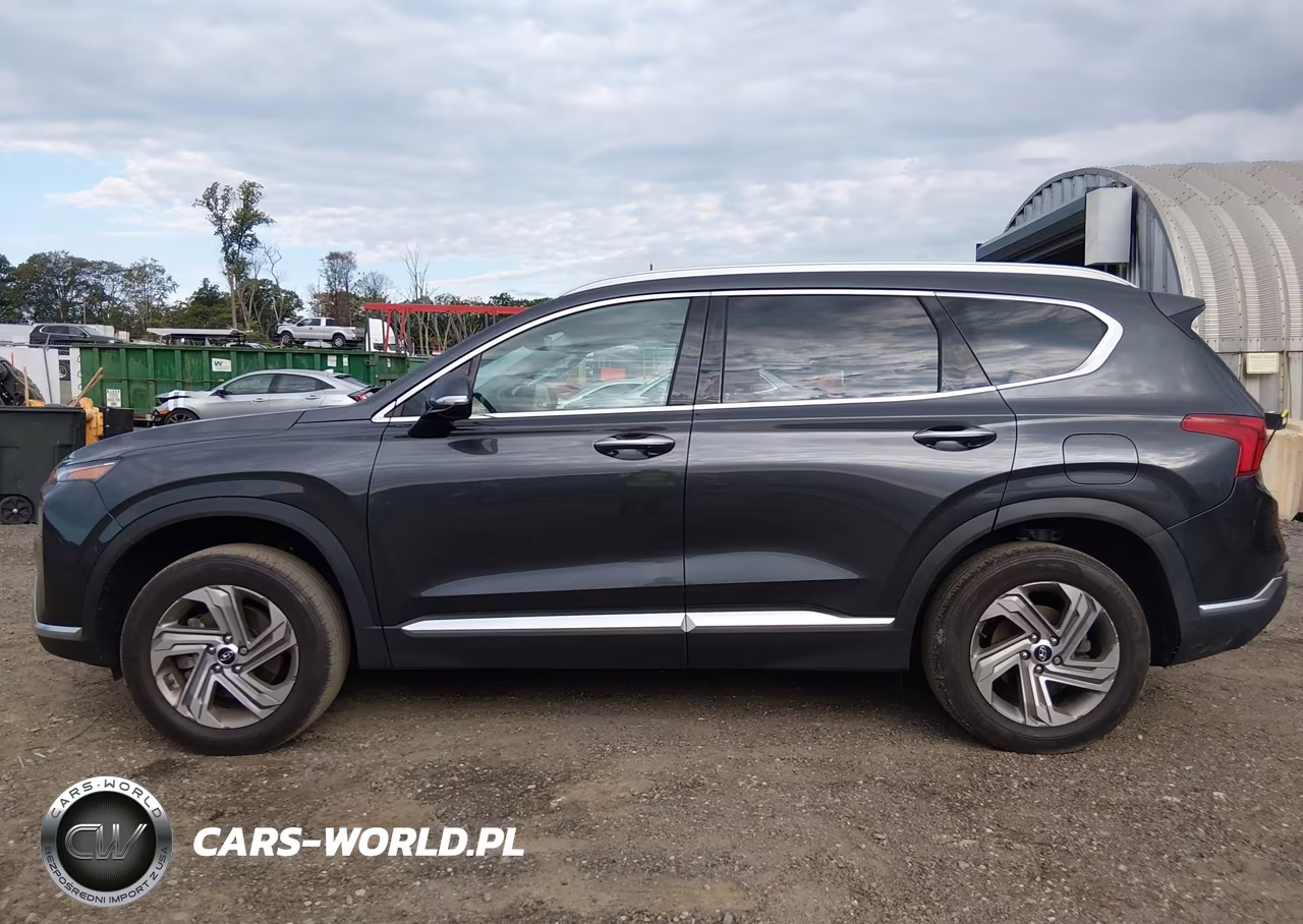 2021 Hyundai Santa Fe Sel VIN:5NMS6DAJ2MH329665 - 14