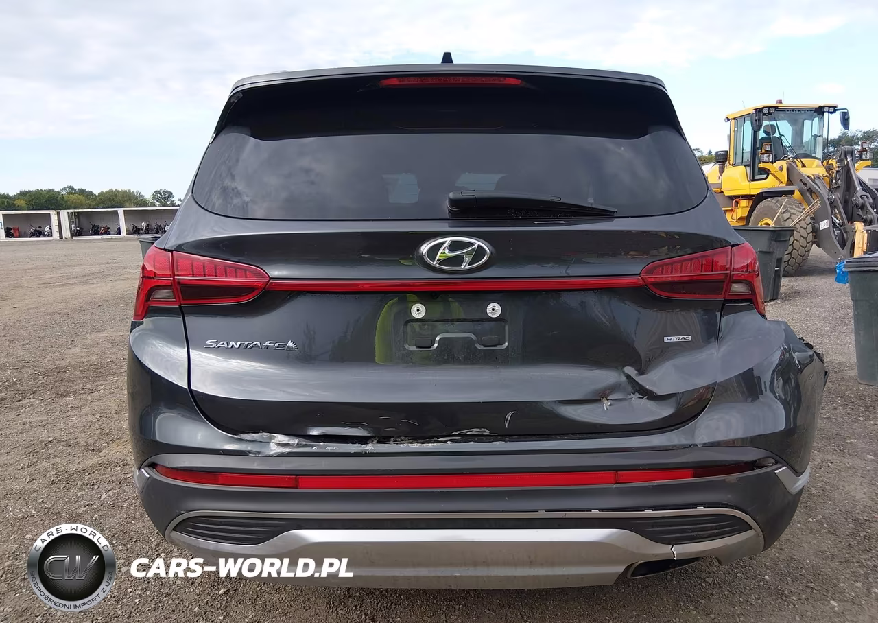 2021 Hyundai Santa Fe Sel VIN:5NMS6DAJ2MH329665 - 16
