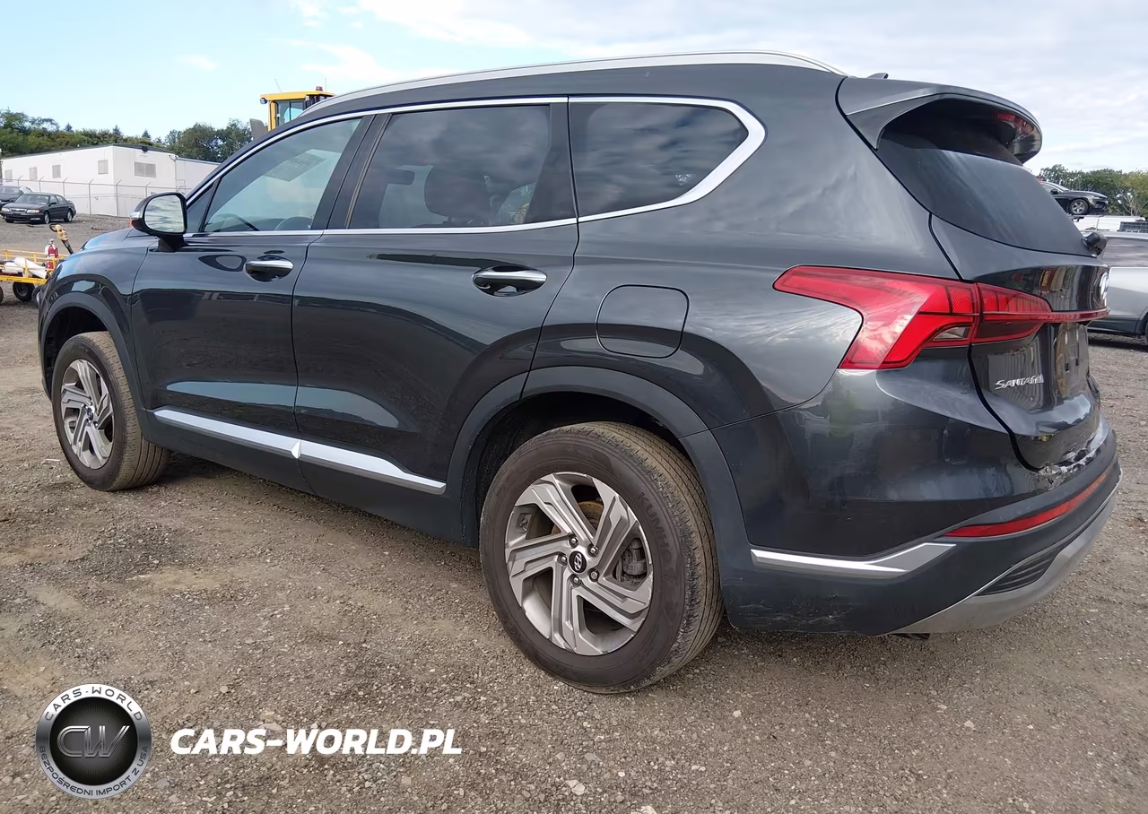 2021 Hyundai Santa Fe Sel VIN:5NMS6DAJ2MH329665 - 3