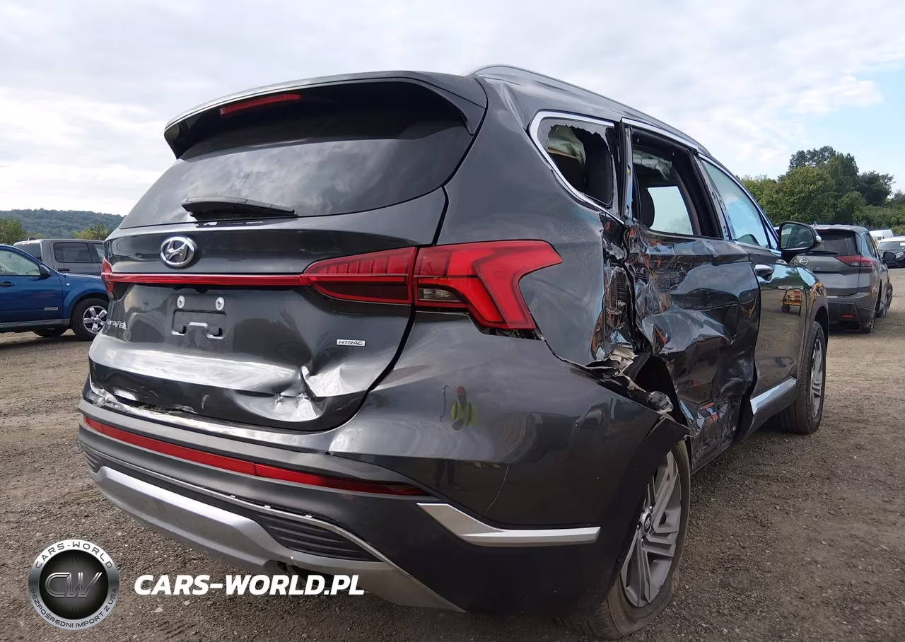 2021 Hyundai Santa Fe Sel VIN:5NMS6DAJ2MH329665 - 6