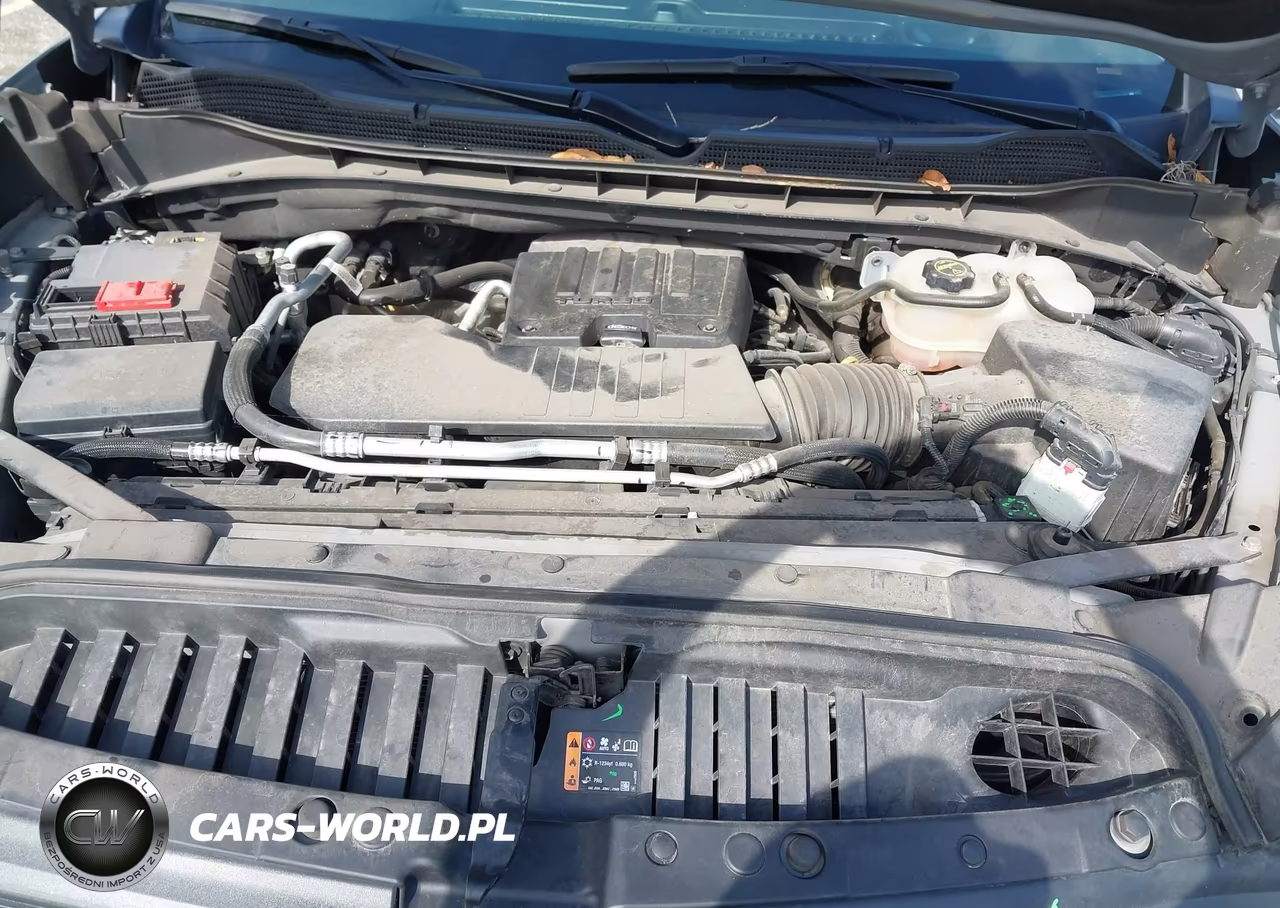2024 Chevrolet Silverado 1500 4Wd Short Bed Custom Trail Boss VIN:3GCPDCEK9RG206781 - 10