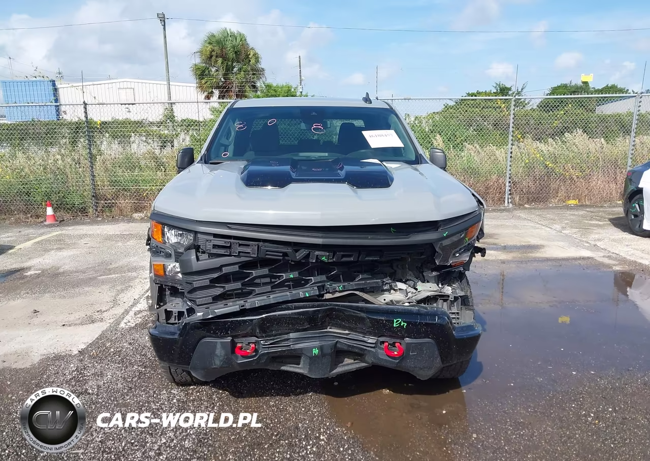 2024 Chevrolet Silverado 1500 4Wd Short Bed Custom Trail Boss VIN:3GCPDCEK9RG206781 - 12