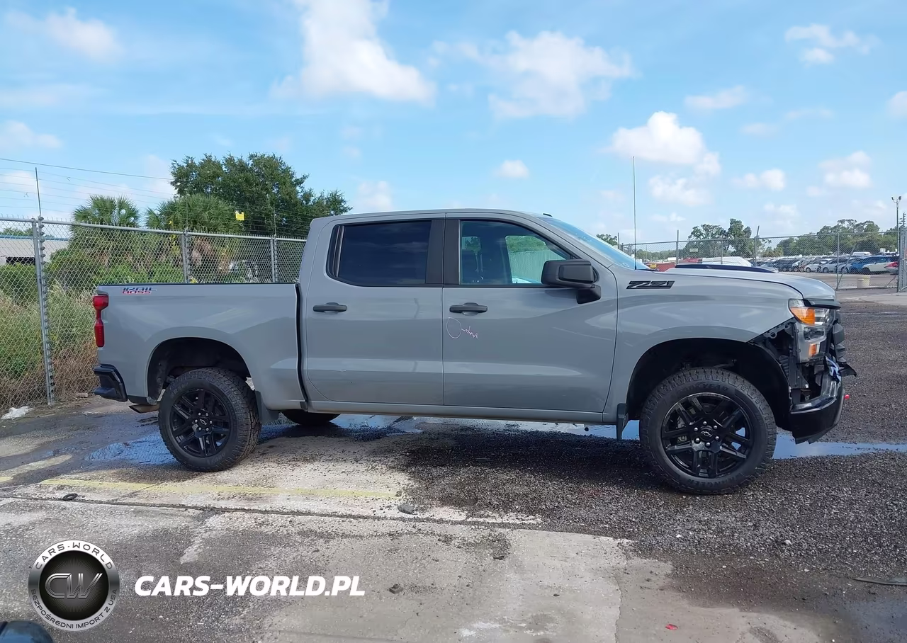 2024 Chevrolet Silverado 1500 4Wd Short Bed Custom Trail Boss VIN:3GCPDCEK9RG206781 - 13
