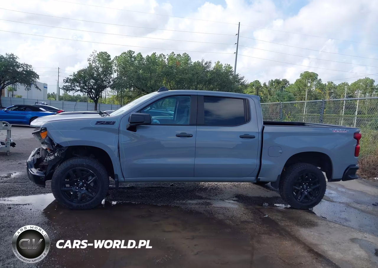2024 Chevrolet Silverado 1500 4Wd Short Bed Custom Trail Boss VIN:3GCPDCEK9RG206781 - 14