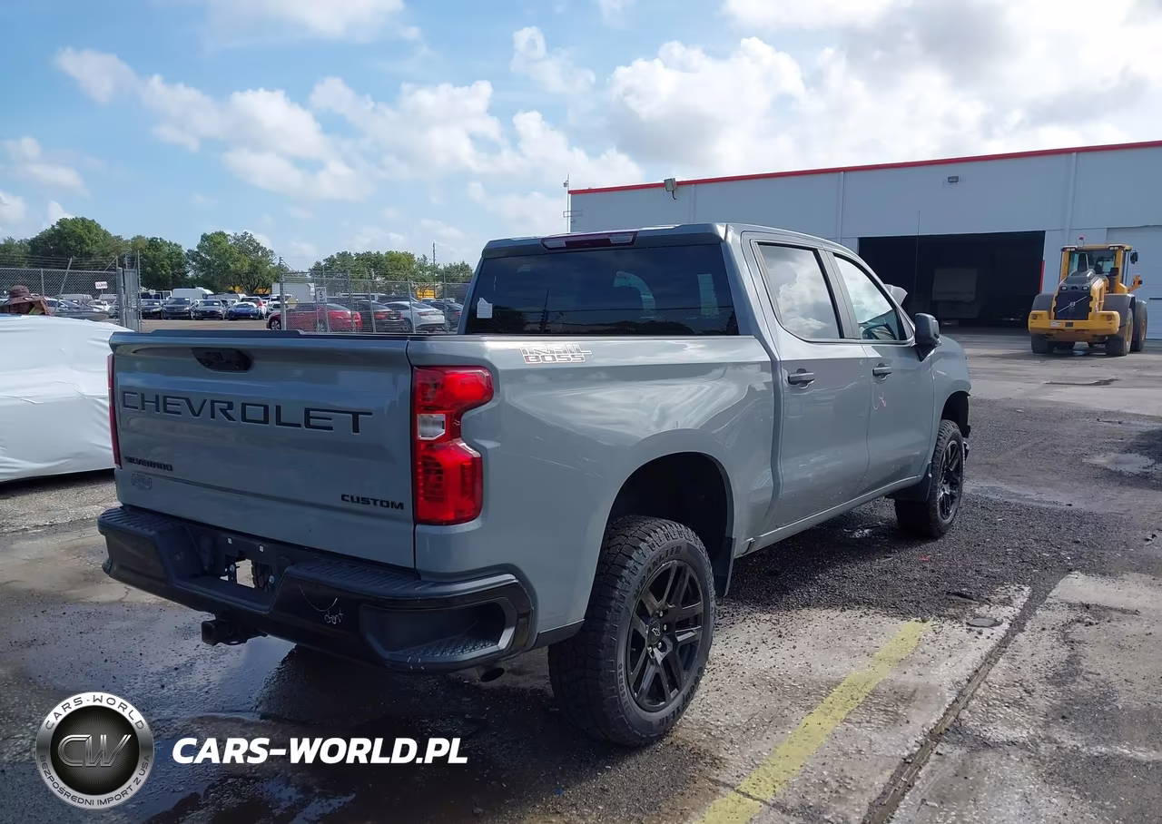 2024 Chevrolet Silverado 1500 4Wd Short Bed Custom Trail Boss VIN:3GCPDCEK9RG206781 - 4