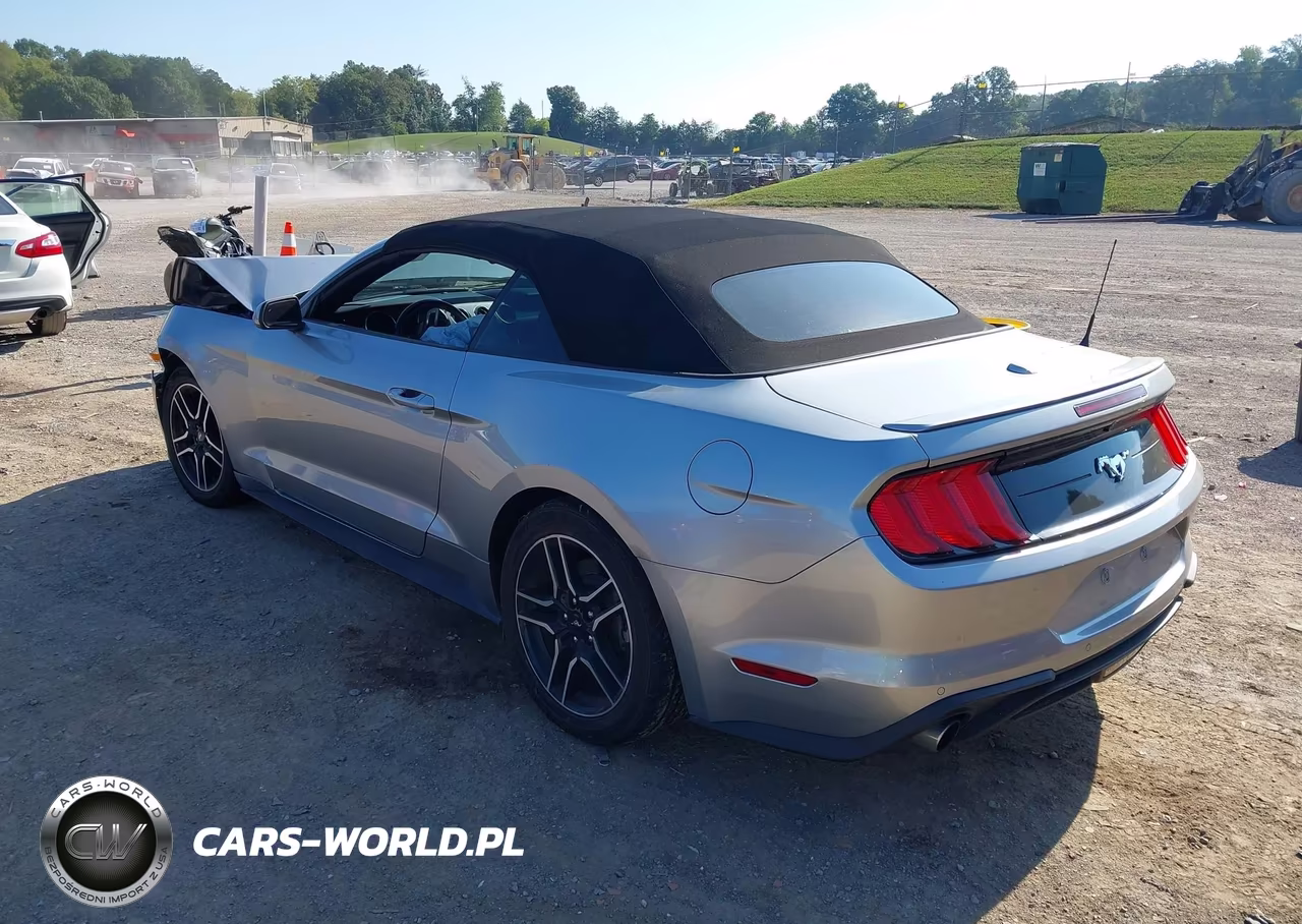 2023 Ford Mustang Ecoboost Premium VIN:1FATP8UH9P5102679 - 3